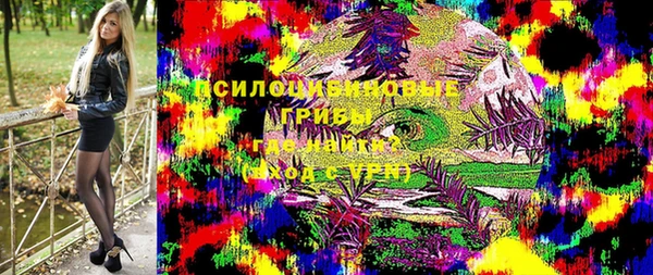 хмурый Верхний Тагил