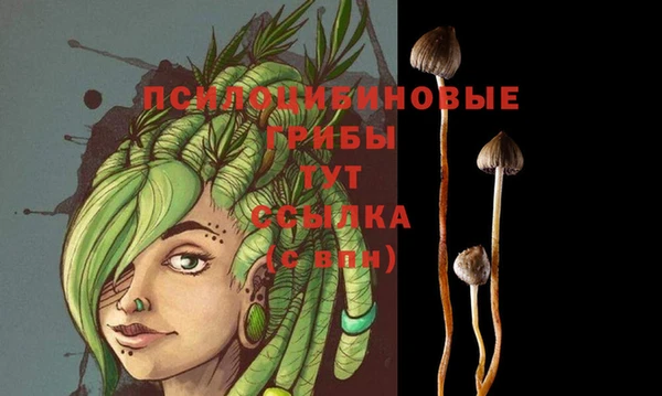 MESCALINE Верея