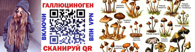 Галлюциногенные грибы Psilocybe  наркошоп  Каневская 
